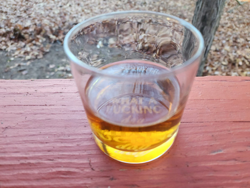 Funny Whiskey Glass What a Fucking Day Christmas Birthday Gift for Grandpa Dad Uncle Brother Whiskey Glasses Because Work Funny work suxs